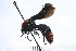  ( - UUINV2020MT1_61)  @11 [ ] Copyright (2022) Jeremy Blaschke Union University