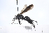  ( - UUINV2022MT_02)  @11 [ ] Copyright (2022) Jeremy Blaschke Union University