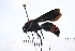  ( - UUINV2022MT_48)  @11 [ ] Copyright (2022) Jeremy Blaschke Union University