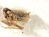  (Unkanodes - CGHTA-074)  @13 [ ] CreativeCommons - Attribution (2009) Unspecified Centre for Biodiversity Genomics