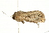  ( - UKLB1A02)  @12 [ ] CreativeCommons - Attribution (2009) Unspecified Centre for Biodiversity Genomics
