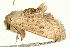  ( - UKLB1B08)  @11 [ ] CreativeCommons - Attribution (2009) Unspecified Centre for Biodiversity Genomics