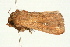  ( - UKLB1C02)  @11 [ ] CreativeCommons - Attribution (2009) Unspecified Centre for Biodiversity Genomics