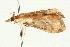 ( - UKLB1C12)  @13 [ ] CreativeCommons - Attribution (2009) Unspecified Centre for Biodiversity Genomics