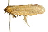  ( - UKLB1F07)  @12 [ ] CreativeCommons - Attribution (2009) Unspecified Centre for Biodiversity Genomics