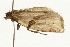  ( - UKLB1G07)  @12 [ ] CreativeCommons - Attribution (2009) Unspecified Centre for Biodiversity Genomics