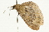  ( - UKLB1G10)  @13 [ ] CreativeCommons - Attribution (2009) Unspecified Centre for Biodiversity Genomics