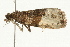  ( - UKLB1G12)  @12 [ ] CreativeCommons - Attribution (2009) Unspecified Centre for Biodiversity Genomics