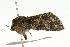  ( - UKLB2B02)  @11 [ ] CreativeCommons - Attribution (2009) Unspecified Centre for Biodiversity Genomics