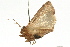  ( - UKLB2D02)  @11 [ ] CreativeCommons - Attribution (2009) Unspecified Centre for Biodiversity Genomics