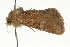  ( - UKLB2D04)  @13 [ ] CreativeCommons - Attribution (2009) Unspecified Centre for Biodiversity Genomics