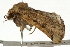  ( - UKLB2D07)  @13 [ ] CreativeCommons - Attribution (2009) Unspecified Centre for Biodiversity Genomics