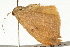  ( - UKLB2D08)  @11 [ ] CreativeCommons - Attribution (2009) Unspecified Centre for Biodiversity Genomics