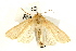  ( - UKLB2E06)  @13 [ ] CreativeCommons - Attribution (2009) Unspecified Centre for Biodiversity Genomics