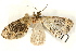  ( - UKLB2E10)  @13 [ ] CreativeCommons - Attribution (2009) Unspecified Centre for Biodiversity Genomics