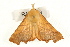  ( - UKLB2E11)  @13 [ ] CreativeCommons - Attribution (2009) Unspecified Centre for Biodiversity Genomics