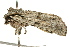  ( - UKLB2F01)  @12 [ ] CreativeCommons - Attribution (2009) Unspecified Centre for Biodiversity Genomics