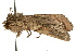  ( - UKLB2F03)  @13 [ ] CreativeCommons - Attribution (2009) Unspecified Centre for Biodiversity Genomics