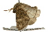  ( - UKLB2F04)  @13 [ ] CreativeCommons - Attribution (2009) Unspecified Centre for Biodiversity Genomics