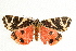  ( - UKLB2F09)  @13 [ ] CreativeCommons - Attribution (2009) Unspecified Centre for Biodiversity Genomics