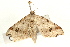  ( - UKLB2F12)  @14 [ ] CreativeCommons - Attribution (2009) Unspecified Centre for Biodiversity Genomics