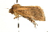  ( - UKLB2G06)  @11 [ ] CreativeCommons - Attribution (2009) Unspecified Centre for Biodiversity Genomics