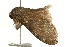  ( - UKLB4A03)  @11 [ ] CreativeCommons - Attribution (2009) Unspecified Centre for Biodiversity Genomics