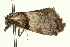  ( - UKLB4B03)  @12 [ ] CreativeCommons - Attribution (2009) Unspecified Centre for Biodiversity Genomics