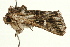  ( - UKLB4F07)  @12 [ ] CreativeCommons - Attribution (2009) Unspecified Centre for Biodiversity Genomics