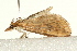  ( - UKLB4G04)  @13 [ ] CreativeCommons - Attribution (2009) Unspecified Centre for Biodiversity Genomics