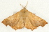  ( - UKLB4H02)  @13 [ ] CreativeCommons - Attribution (2009) Unspecified Centre for Biodiversity Genomics