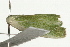  ( - UKLB6B02)  @12 [ ] CreativeCommons - Attribution (2009) Unspecified Centre for Biodiversity Genomics