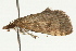  ( - UKLB6B07)  @13 [ ] CreativeCommons - Attribution (2009) Unspecified Centre for Biodiversity Genomics