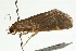  ( - UKLB6C05)  @14 [ ] CreativeCommons - Attribution (2009) Unspecified Centre for Biodiversity Genomics