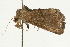  ( - UKLB6D01)  @13 [ ] CreativeCommons - Attribution (2009) Unspecified Centre for Biodiversity Genomics
