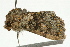  ( - UKLB6D09)  @13 [ ] CreativeCommons - Attribution (2009) Unspecified Centre for Biodiversity Genomics