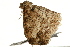  ( - UKLB6G01)  @12 [ ] CreativeCommons - Attribution (2009) Unspecified Centre for Biodiversity Genomics