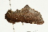 ( - UKLB6G05)  @12 [ ] CreativeCommons - Attribution (2009) Unspecified Centre for Biodiversity Genomics