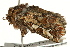  ( - UKLB6H01)  @11 [ ] CreativeCommons - Attribution (2009) Unspecified Centre for Biodiversity Genomics