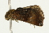 ( - UKLB8A05)  @11 [ ] CreativeCommons - Attribution (2009) Unspecified Centre for Biodiversity Genomics
