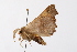  ( - UKLB3A05)  @13 [ ] CreativeCommons - Attribution (2009) Unspecified Centre for Biodiversity Genomics
