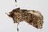  ( - UKLB3B06)  @13 [ ] CreativeCommons - Attribution (2009) Unspecified Centre for Biodiversity Genomics