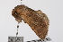  ( - UKLB3B08)  @11 [ ] CreativeCommons - Attribution (2009) Unspecified Centre for Biodiversity Genomics
