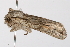  ( - UKLB3B10)  @13 [ ] CreativeCommons - Attribution (2009) Unspecified Centre for Biodiversity Genomics