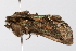  ( - UKLB3C01)  @11 [ ] CreativeCommons - Attribution (2009) Unspecified Centre for Biodiversity Genomics