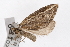  ( - UKLB3D09.fail1)  @11 [ ] CreativeCommons - Attribution (2009) Unspecified Centre for Biodiversity Genomics