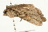  ( - UKLB8E02)  @13 [ ] CreativeCommons - Attribution (2009) Unspecified Centre for Biodiversity Genomics