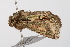  ( - UKLB3E12)  @11 [ ] CreativeCommons - Attribution (2009) Unspecified Centre for Biodiversity Genomics