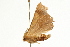  ( - UKLB8G03)  @12 [ ] CreativeCommons - Attribution (2009) Unspecified Centre for Biodiversity Genomics