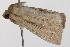  ( - UKLB3F07)  @11 [ ] CreativeCommons - Attribution (2009) Unspecified Centre for Biodiversity Genomics
